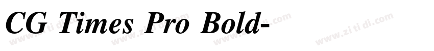 CG Times Pro Bold字体转换